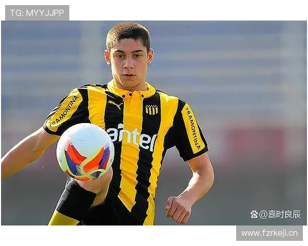 罗德里与巴尔韦德动力型中场角色对比及战术适配差异